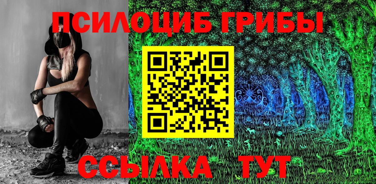 Кизилюрт  Галлюциногенные грибы мухоморы  Псилоцибиновые грибы Psilocybe  Вход с VPN 
