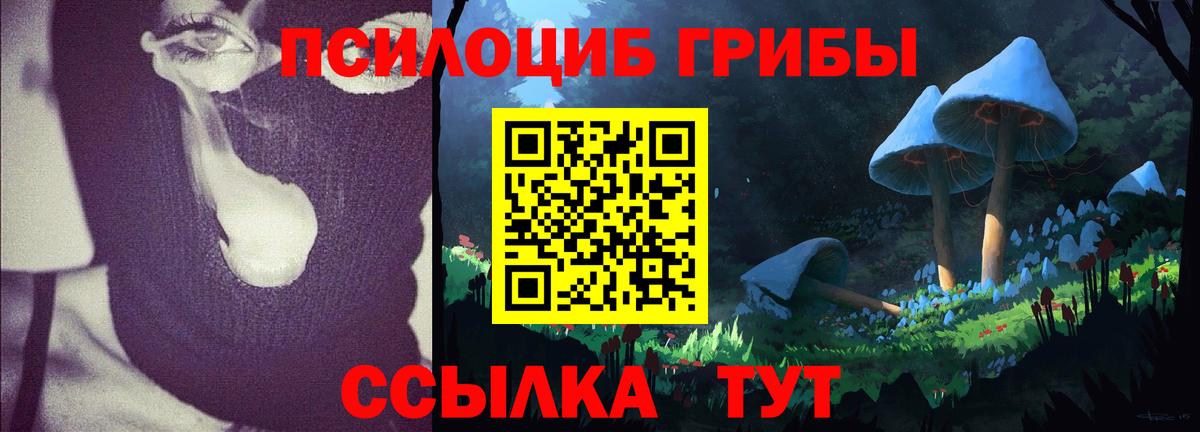 Псилоцибиновые грибы Magic Shrooms Кизилюрт